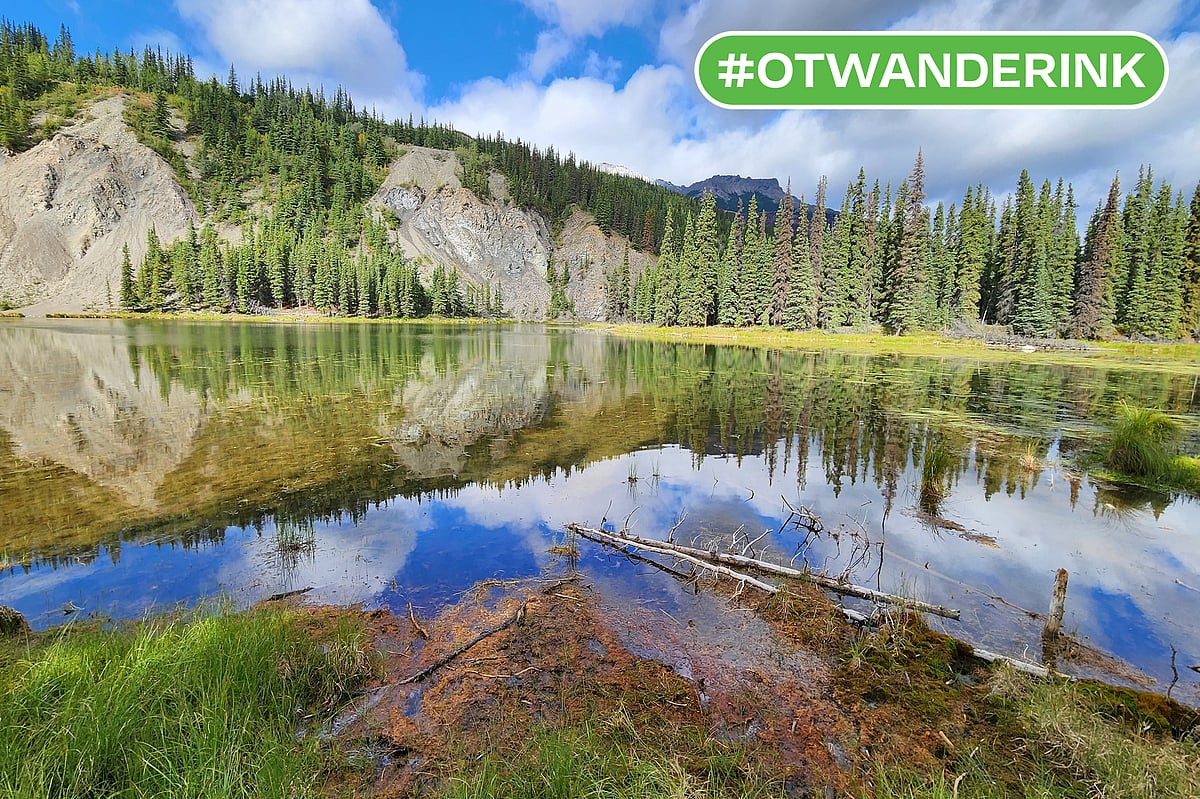  Manas Sharma : Horseshoe Lake view reached via a short hiking trail