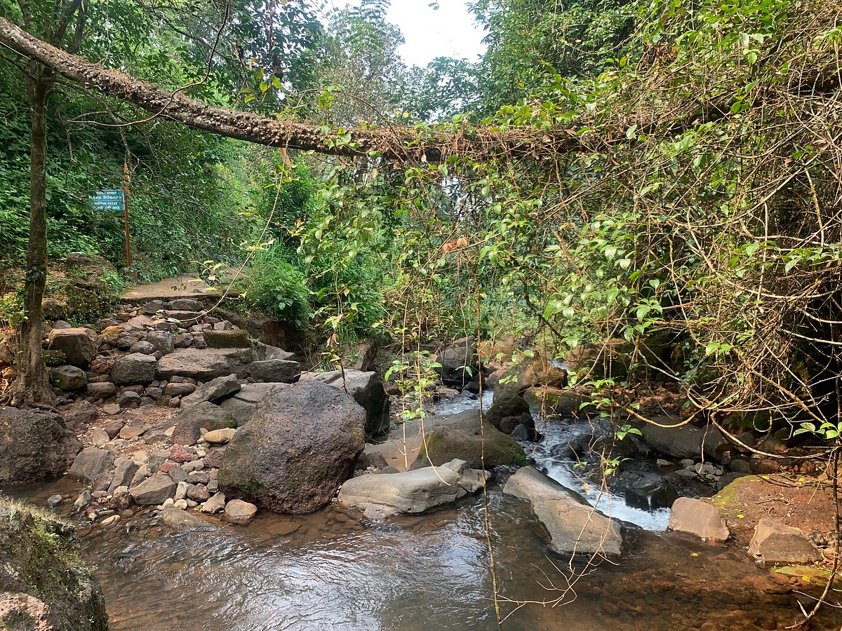 Explore nature trails dotted with streams and lush jungles around Gaganbawada