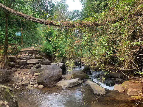 Explore nature trails dotted with streams and lush jungles around Gaganbawada