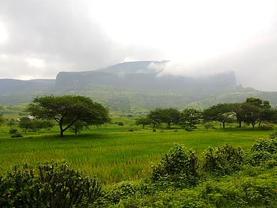 Wikimedia Commons : Anjaneri fort, Nasik