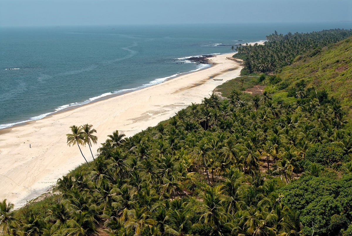 Vengurla Beach is surrounded by berry, mango and cashew plantations
