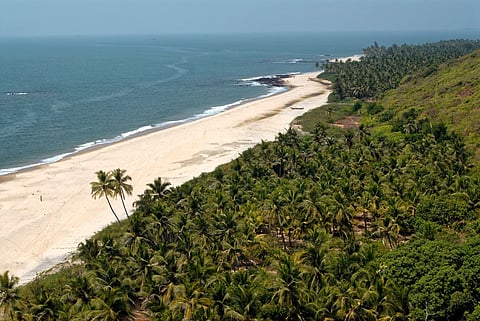 Vengurla Beach is surrounded by berry, mango and cashew plantations