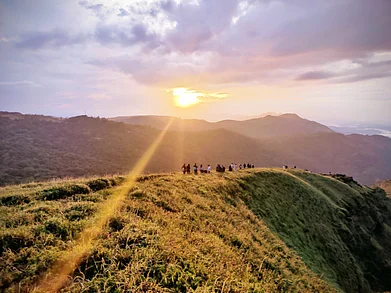 Balajiography/Shutterstock : Coorgs warm hospitality, delectable cuisine featuring aromatic spices, and serene ambience make it a haven for nature lovers