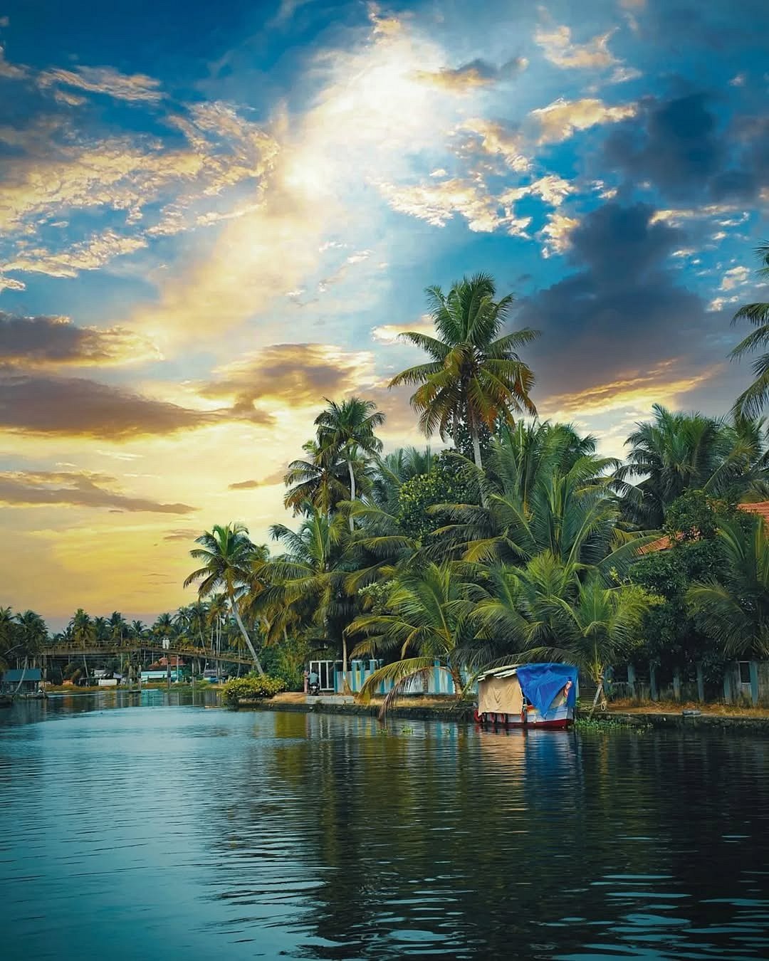 trippsgram : A scenic view of Alappuzha