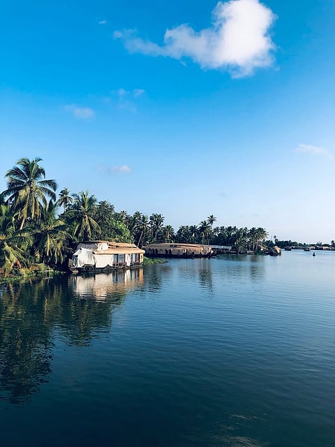 A beautiful view of Kuttanad