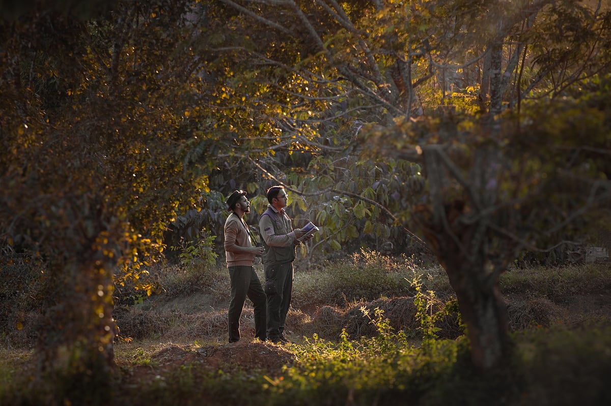 A glimpse of the property