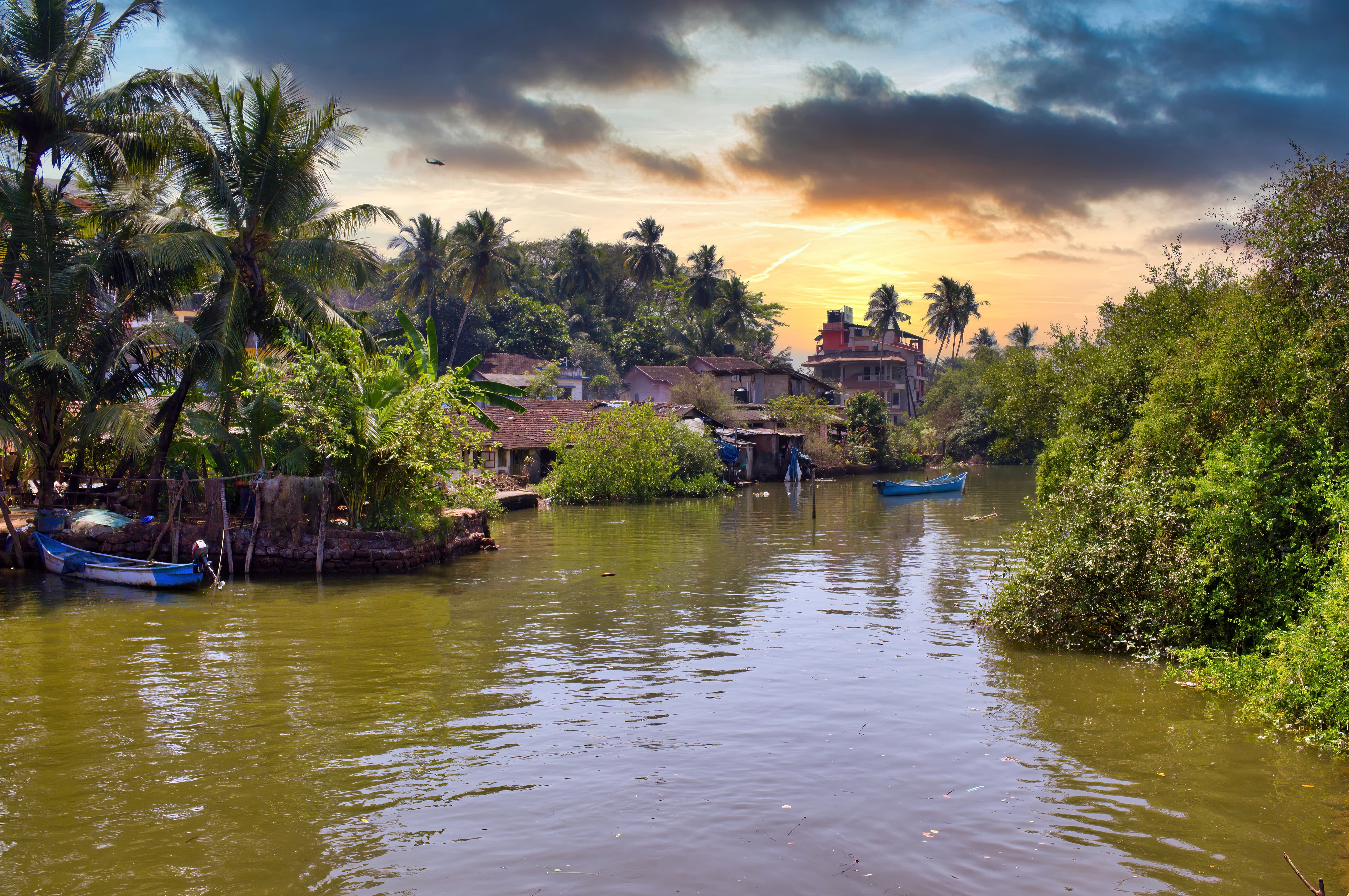 The backwaters of Goa