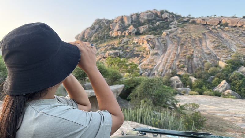 Looking for the Leopards