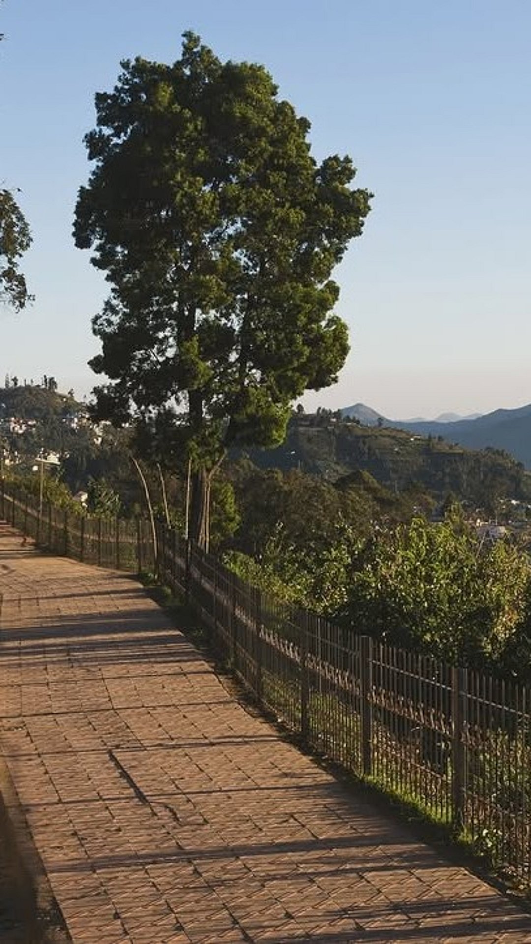 A view of Coaker’s Walk