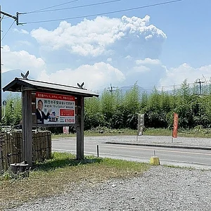 @thepagetody/x : Images from the site of catastrophe