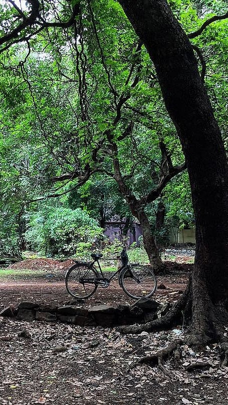 At the Ryewood Park