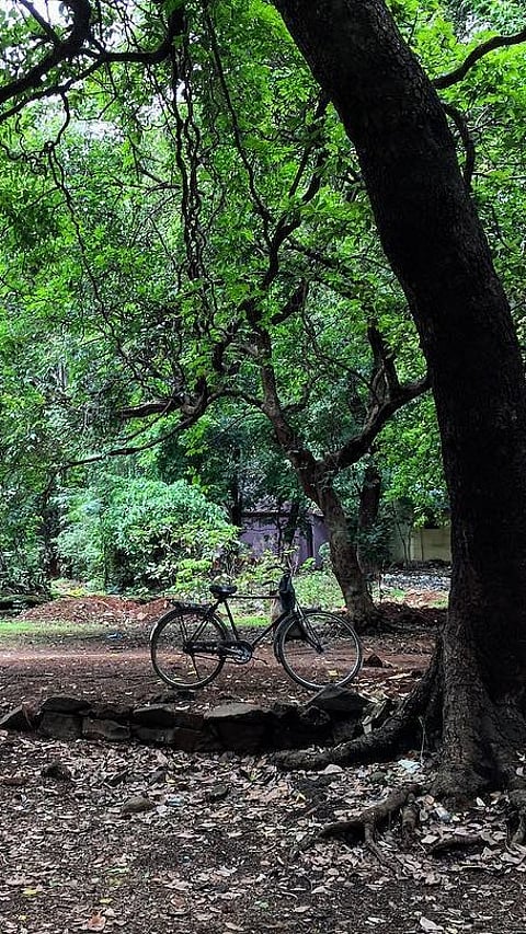 At the Ryewood Park