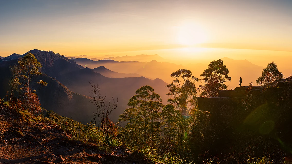 Imanuel Thallinger/Shutterstock