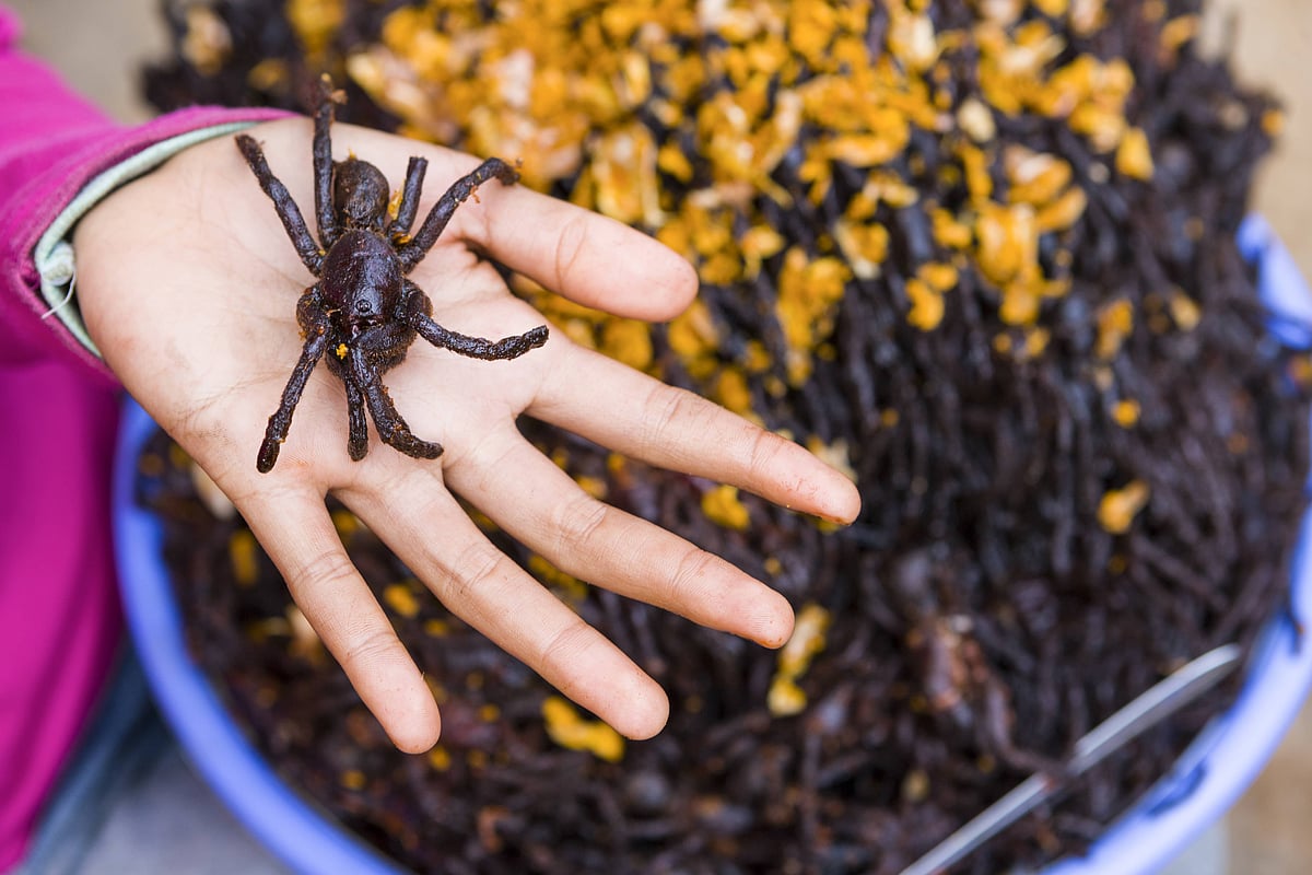 Fried tarantulas are a popular street food in Cambodia