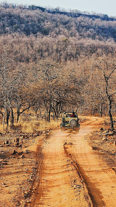 Riding along in Panna National Park, Madhya Pradesh