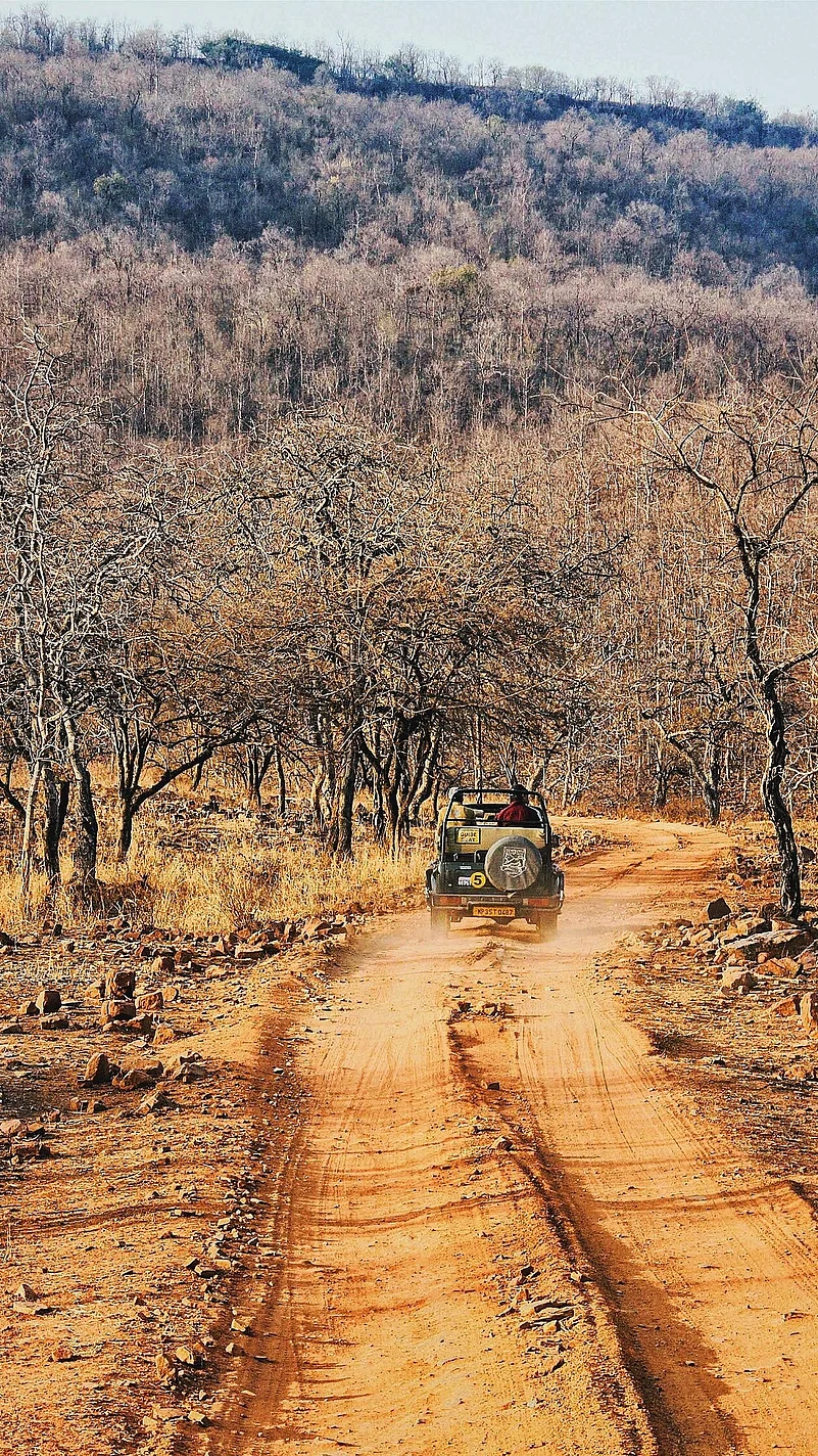 Riding along in Panna National Park, Madhya Pradesh