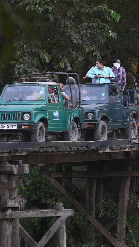 Tourists on a safari through Kaziranga National Park and Tiger Reserve in Assam