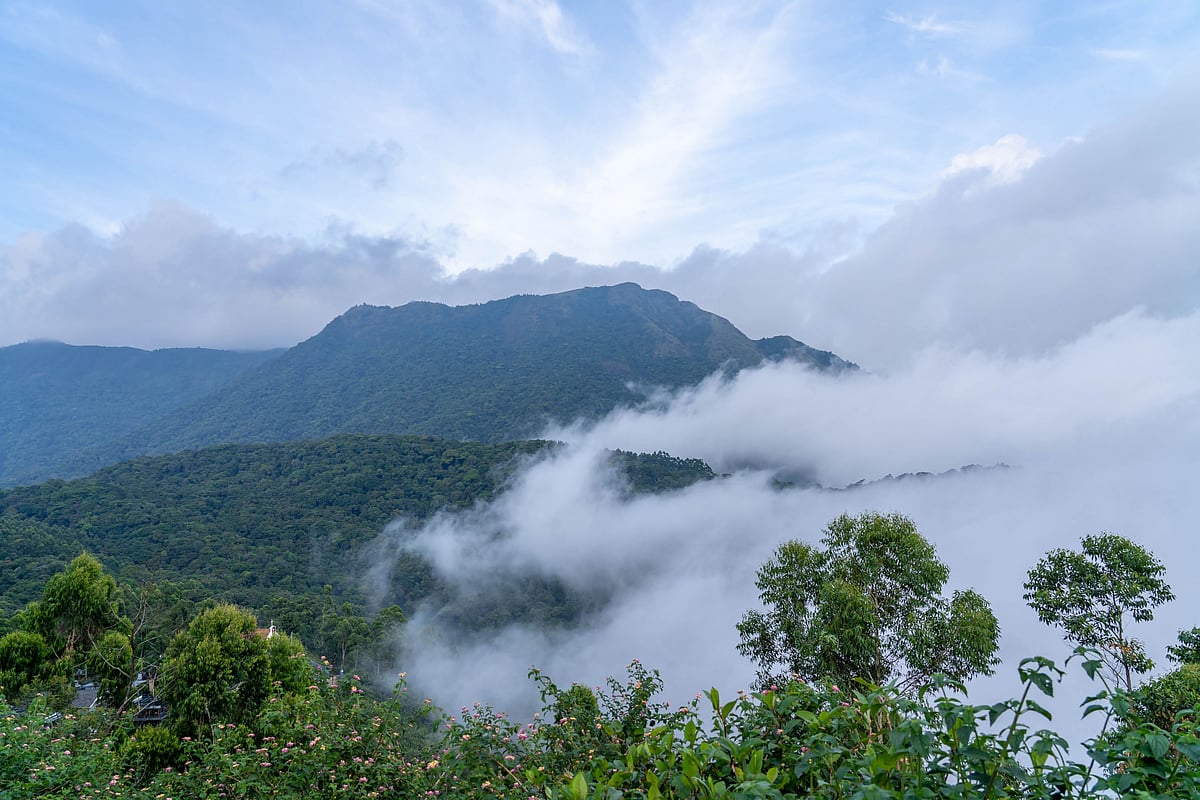 Top Station is the highest point in Munnar at 1,700 m