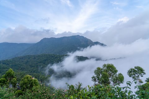 Top Station is the highest point in Munnar at 1,700 m