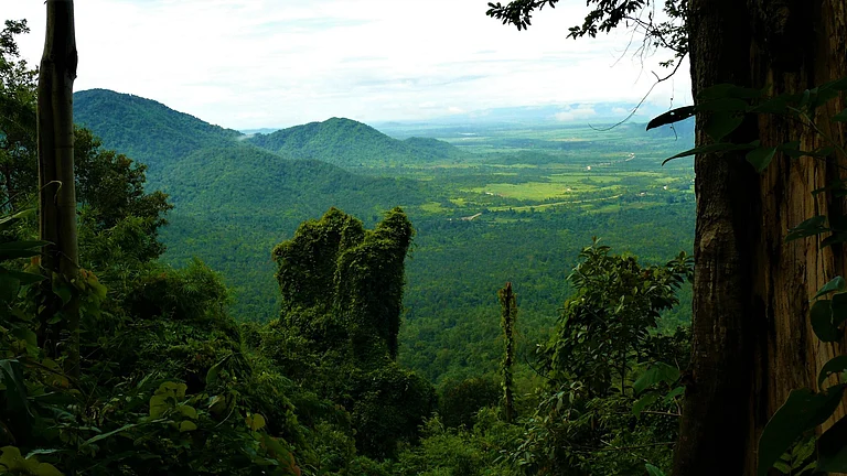 The Cardamom Mountains form one of Southeast Asia’s most important and biodiverse rainforest regions - Shutterstock