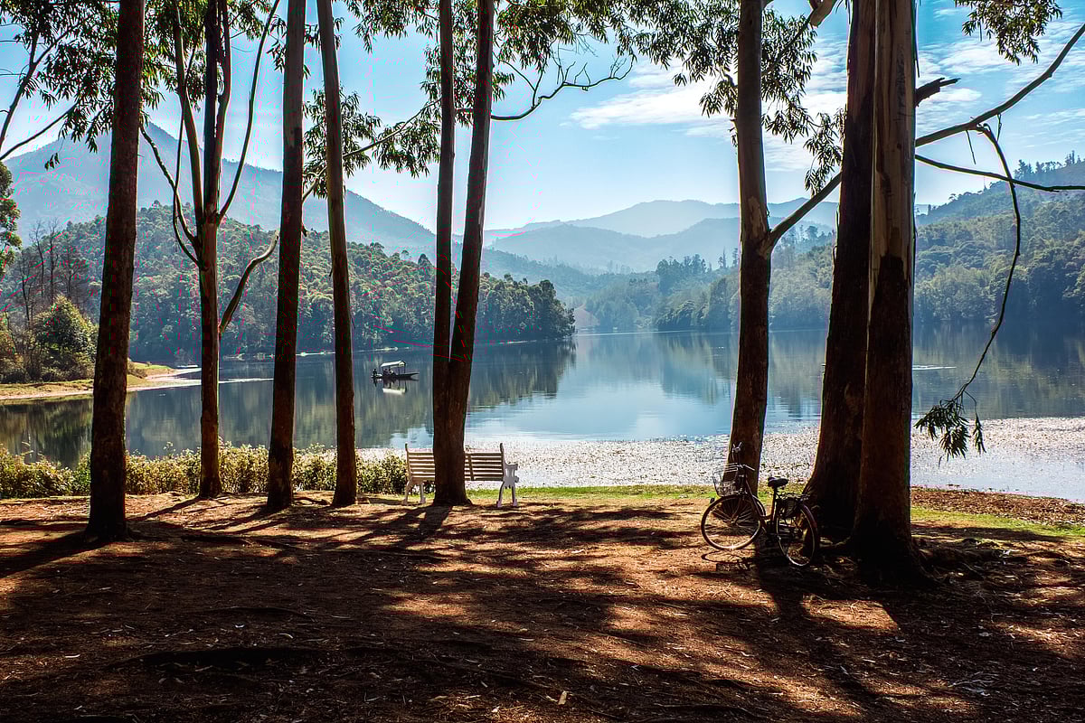 Mattupetty is a popular destination for tourists visiting Munnar