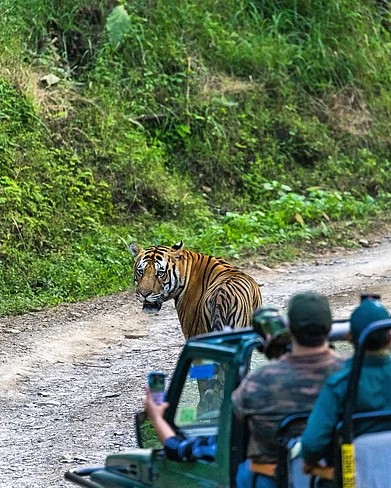utsavhiraniphotography/instagram : At the Panna National Park