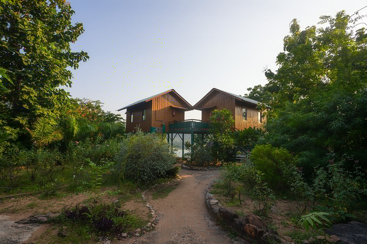 Lush greenery around Kanjeta Eco Campsite, Dahod, Gujarat