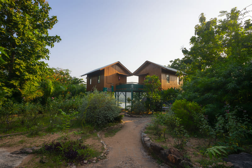 Lush greenery around Kanjeta Eco Campsite, Dahod, Gujarat