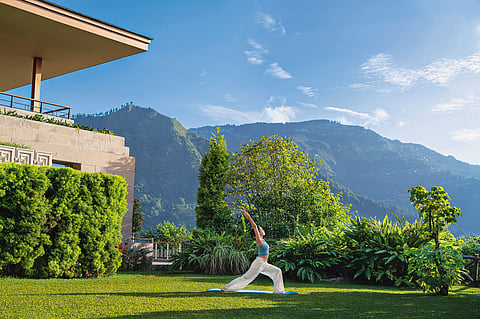 Guests can reconnect through garden walks, quiet moments, or tea with a view