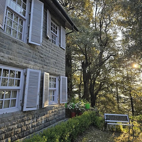 Jungle House in Shimla