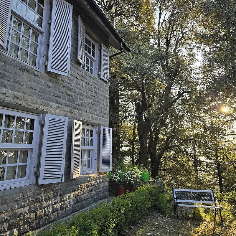 Jungle House in Shimla