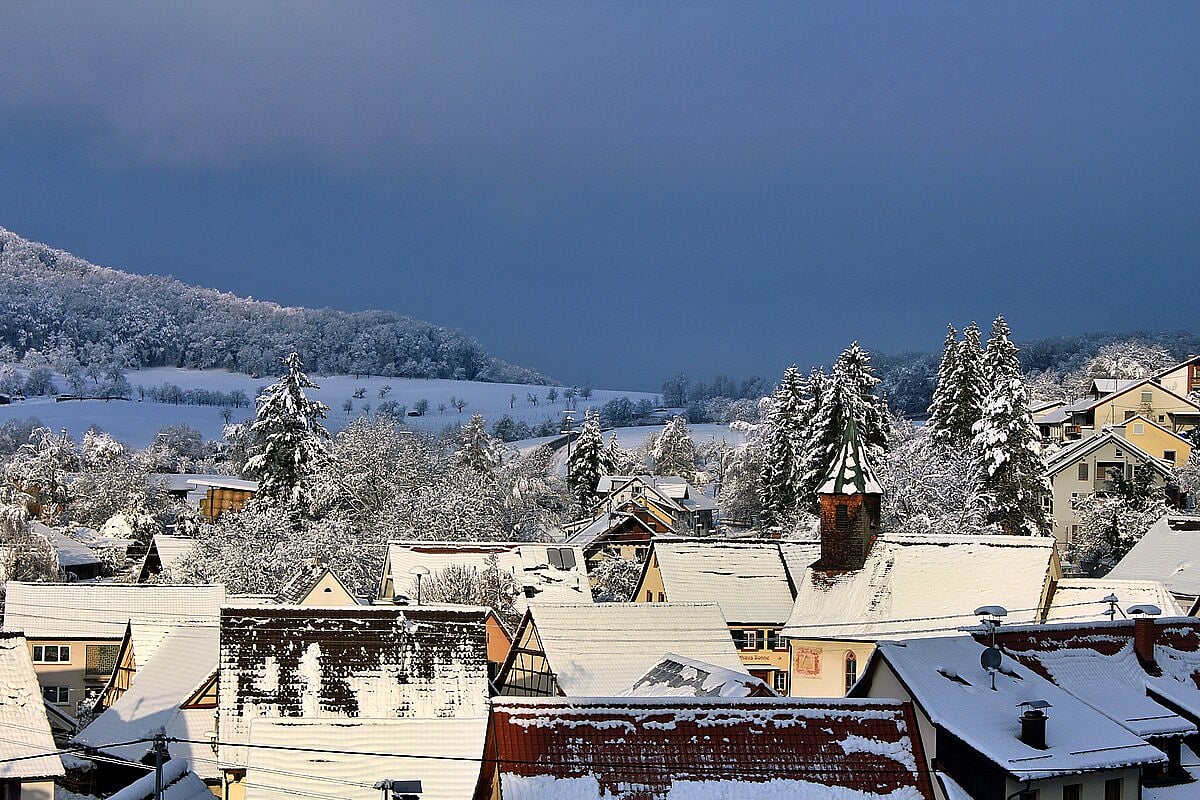 The town of Riedlingen