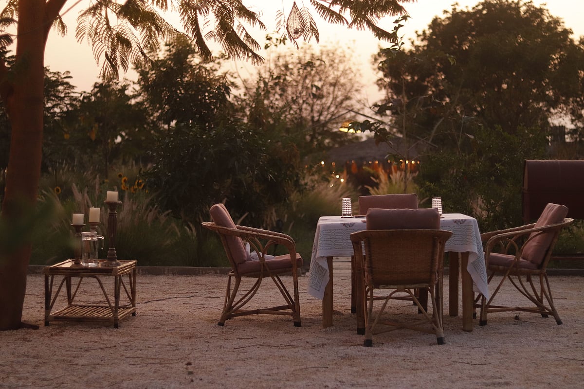 Copyright: Dhyaana Farms, 2025 : The Char Bagh area of Dhyaana Farms where guests congregate for meals under a gulmohar tree