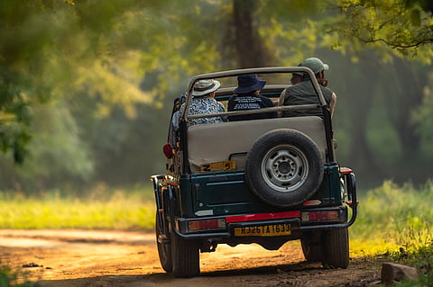 A safari experience in Ranthambore National Park