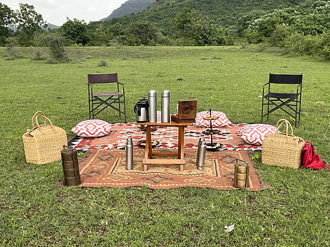 High tea in a clearing near Dhyaana Farms