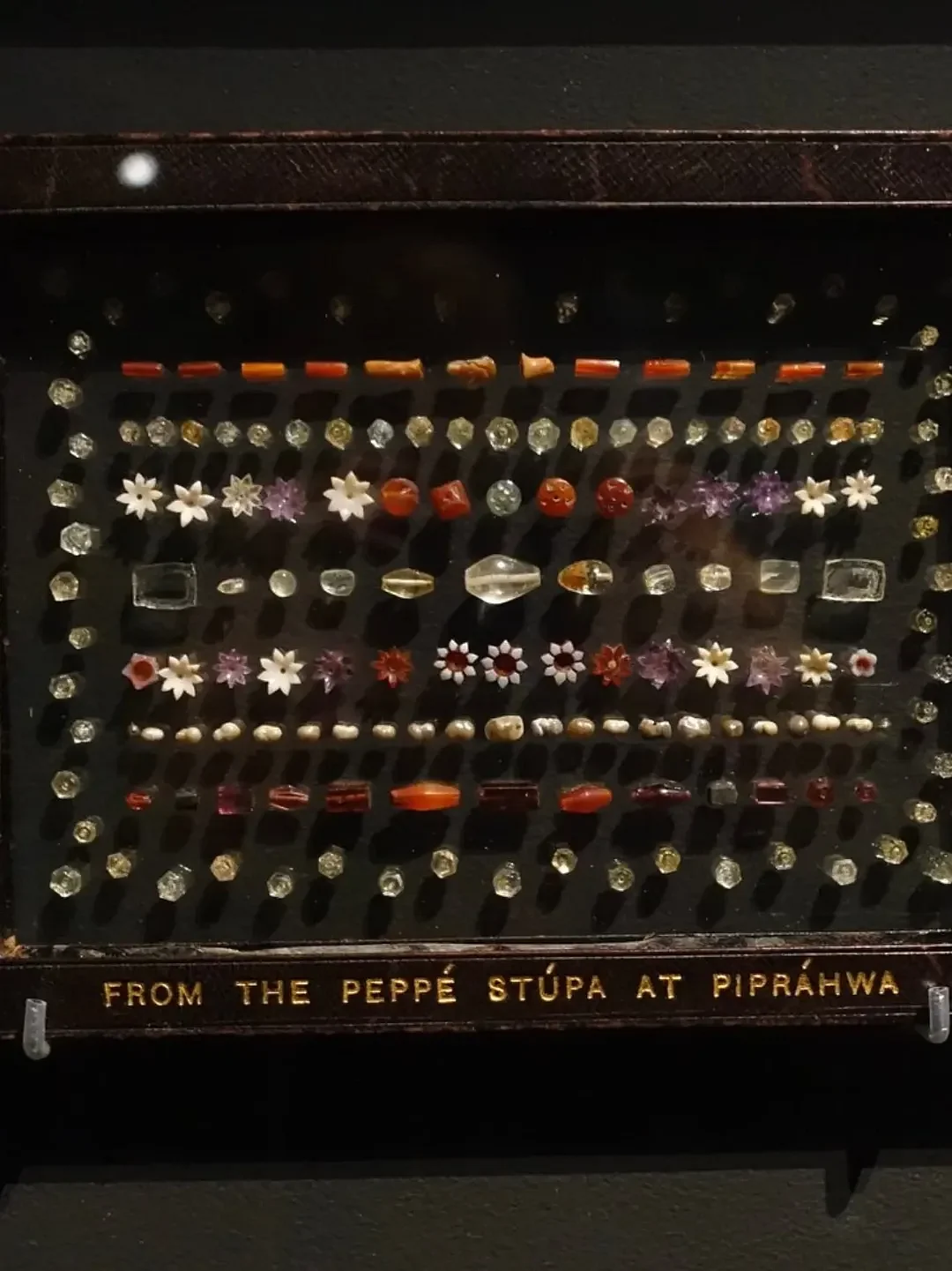 youngbuddhistassociation/Instagram