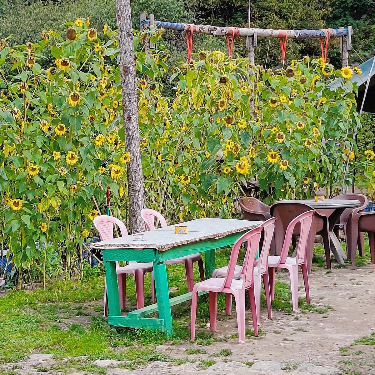 A pitstop with sitting area in Kheerganga