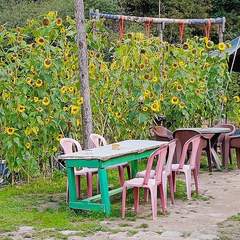 A pitstop with sitting area in Kheerganga
