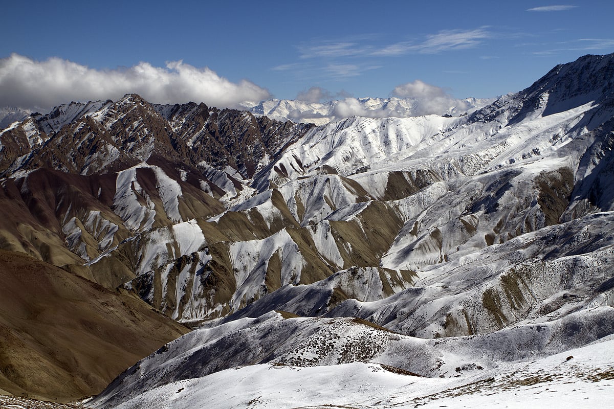According to a May 2025 study, Hemis National Park has an average density of three snow leopards per 100 sq km