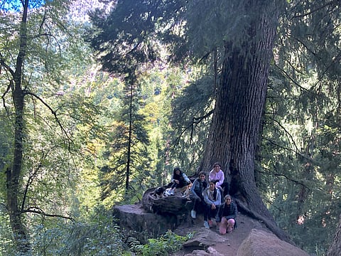 In the midst of the trekking trail