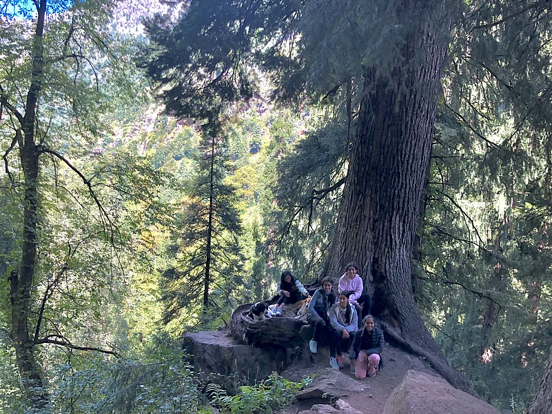 In the midst of the trekking trail