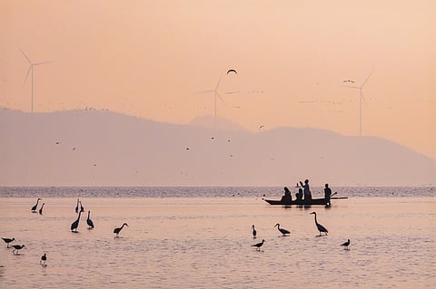 Birding at sunrise at Ankasamudra is a special song