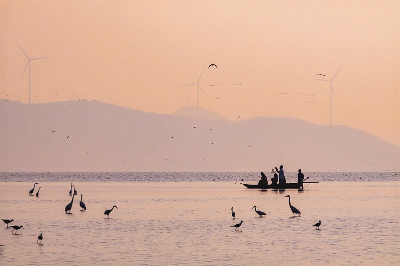 Birding at sunrise at Ankasamudra is a special song