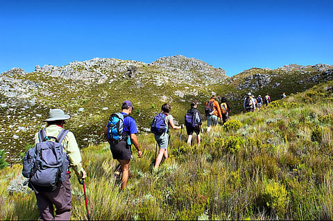 The Jonkershoek Nature Reserve near Stellenbosch is well-known among trail runners and hikers for its scenic mountain paths