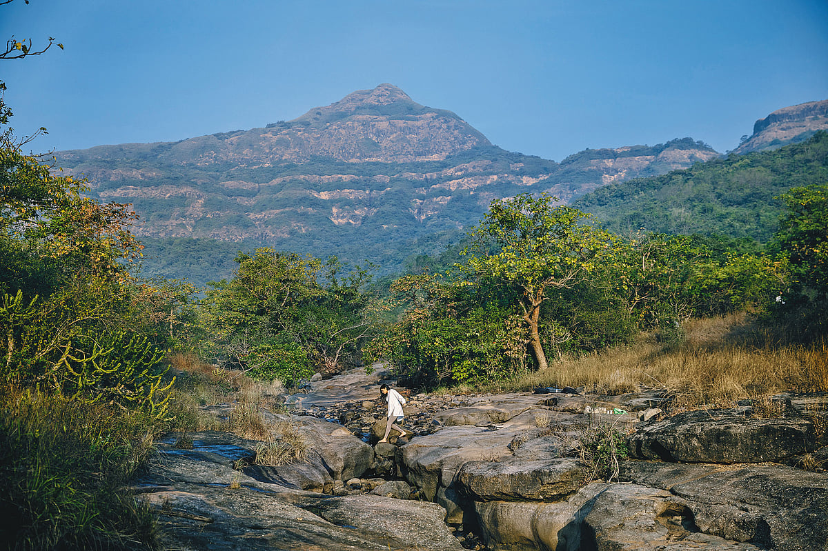 Go on a healing journey at Dharana