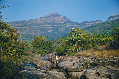 Go on a healing journey at Dharana