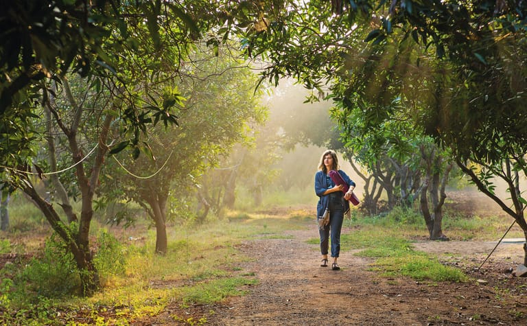 Tapaswini ashram is a sanctuary of classical yoga and meditation, radiating timeless wisdom and inner stillness - null