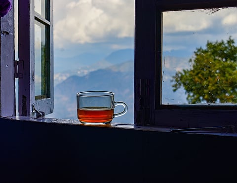 From misty hills to spicy street chai, India’s tea trail blends flavour, history, and landscape
