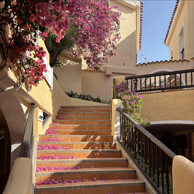 Evening strolls framed by flowers at the Promenade du Port