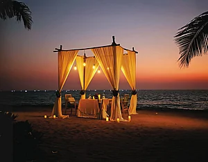 The resort offers panoramic views of the sea, tranquil backwaters, and sandy beaches